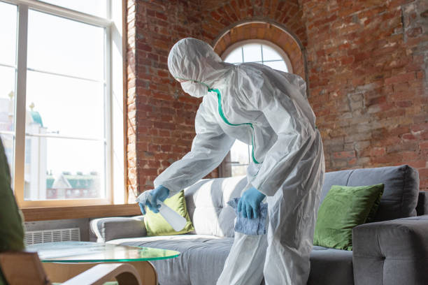 Reliable Alturas, CA Mold Removal Solutions